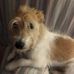 Profile Picture of Bobbie Parker (@bobbie.parker.1460) on Facebook