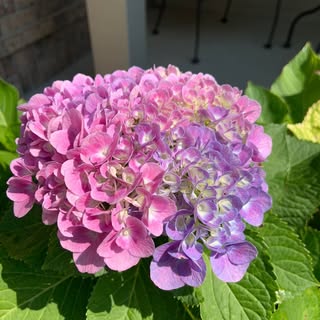 Profile Picture of Brenda Potts (@bren1956) on Instagram
