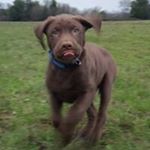 Profile Picture of Randy Seals (@guideboyrandy) on Instagram
