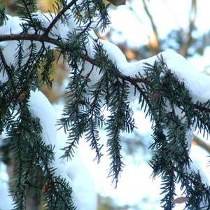 Profile Picture of Jessica A. Nugent (@Jessica-A-Nugent) on Facebook