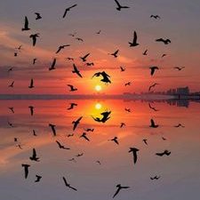 Aaron Velázquez 69 - Twitter Profile Picture of Aaron Velázquez 69 (@AaronVelzquez61) on Twitter