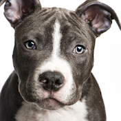 Profile Picture of Katelyn Peterson (@katelynpeterson5928) on Youtube