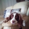 Profile Picture of Betty Walsh638 (@bettywalsh0) on Tiktok