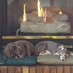 Profile Picture of Keith Sparks (@keith.sparks.737) on Instagram