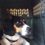 Profile Picture of Valarie Moore (@valariemoore) on Instagram