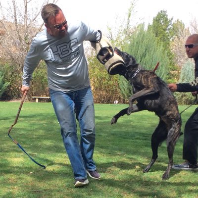 Profile Picture of Joshua Ortega-schein (@ltjlove) on Twitter