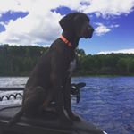 Profile Picture of Jason (@jasonbrunskill) on Instagram