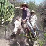 Profile Picture of Travis Cushman (@travis_cushman) on Instagram