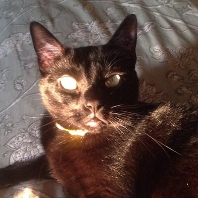 Profile Picture of Matthew Coe (@YardleyFFL) on Twitter