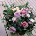 Profile Picture of Christine Regnier (@christine.regnier.3975) on Facebook
