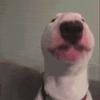 Profile Picture of ernest Ramirez (@@ernestramirez89) on Tiktok