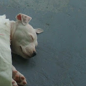 Profile Picture of Savannah Blanton (@savannahblanton5811) on Youtube