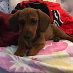 Profile Picture of Cindy Halterman Allen (@cindy.allen.7967) on Facebook