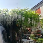 Profile Picture of Renato Comazzetto (@renatocomazzetto) on Instagram