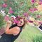 Profile Picture of William Kiersten (@william.kiersten.7) on Facebook