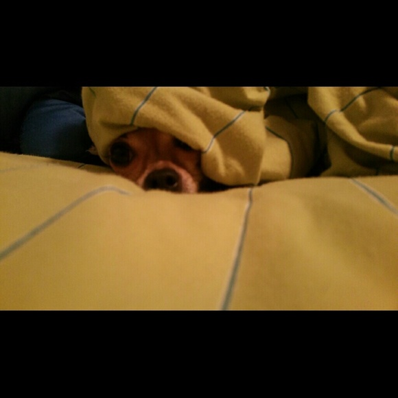 Profile Picture of Shelly Willingham (@sawill02) on Poshmark