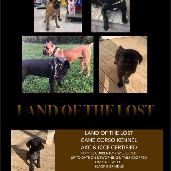 Profile Picture of Kenyetta Allen (@yetta_34) on Poshmark