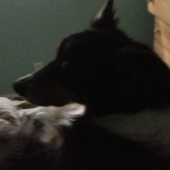 Profile Picture of Jane Case (@janecase) on Poshmark