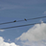 Matthew Robbins - Flickr Profile Picture of Matthew Robbins (@matt_robbins1) on Flickr