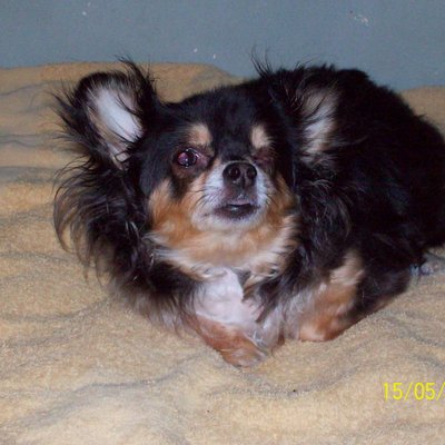 Profile Picture of Will Simms (@willsimms8) on Twitter