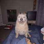 Profile Picture of Travis Andrews (@Travis-Andrews) on Facebook