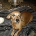 Profile Picture of Kim Blaser (@kim.blaser.16) on Facebook