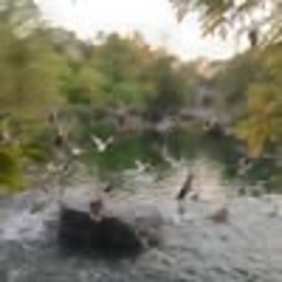 Profile Picture of Violetta valéry Valéry (@vvkim577) on Poshmark