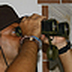 Profile Picture of Gennaro Sansiviero (@fotorius) on Flickr