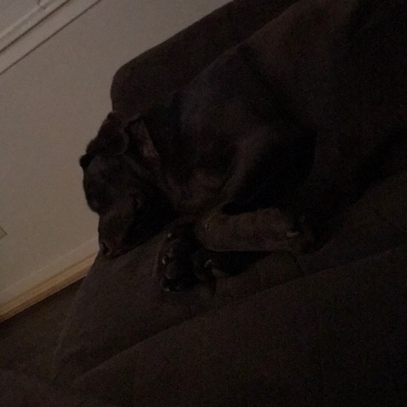 Profile Picture of Joey Winstead (@joeywinstead) on Poshmark