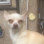 Profile Picture of Dany Girl  Gibson (@danyell1979) on Instagram