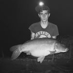 Profile Picture of Christian Toth (@christian_toth_) on Instagram