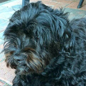 Profile Picture of Kim Struck (@kimstruck2045) on Youtube