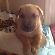 Profile Picture of Elma Soller (@elmasoller7381) on Youtube