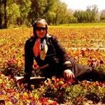 Profile Picture of ایران شاه صاحبی (@shahsahebi1080) on Instagram