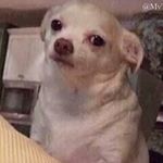 Profile Picture of kyle (@kyle_lemont) on Instagram