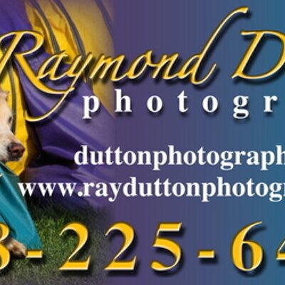 Profile Picture of Raymond Dutton Photo (@Agilityphoto) on Twitter