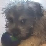 Profile Picture of Ariadna Morales (@ariadna.morales.129) on Instagram