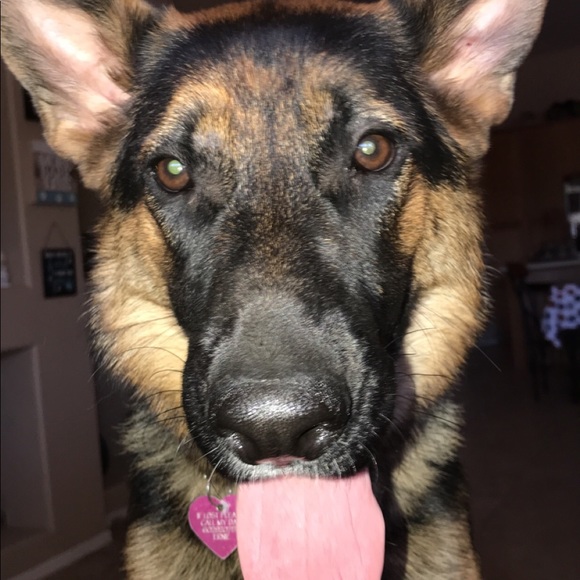 Sarah Razo - Poshmark Profile Picture of Sarah Razo (@sarahrazo1978) on Poshmark