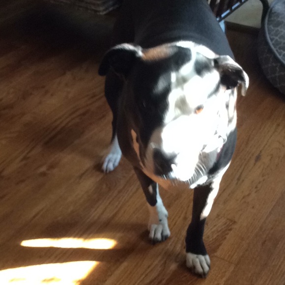 Profile Picture of Nellie Rahilly (@nellierahilly) on Poshmark