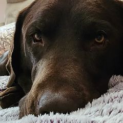 Profile Picture of nancysensinger (@nancy.sensinger2) on Tiktok