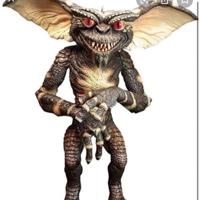 Profile Picture of Gremlin (@TomWilkin10) on Twitter