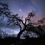 Profile Picture of Mark Polsen (@markjpolsenphotography) on Instagram