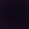 Profile Picture of Tony Lam (@@tony.lam) on Tiktok
