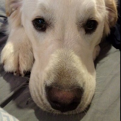 Profile Picture of John Kroesser (@johnkroesser) on Twitter