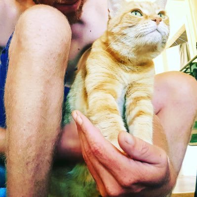 Profile Picture of Simon Handley (@SimonHandley9) on Twitter