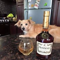 Profile Picture of Trisha Lalmansingh (@trisha-lalmansingh) on Quora