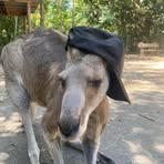 Profile Picture of Matt Golombick (@matt.golombick) on Facebook