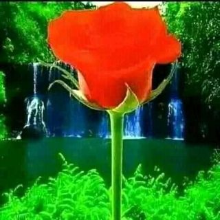 Omar Husein - Facebook Profile Picture of Omar Husein (@omar.husein.50552) on Facebook