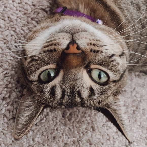 Profile Picture of Astrid Escobar (@astridca97) on Poshmark