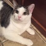 Profile Picture of hunter sampson (@piggy_puffer) on Instagram